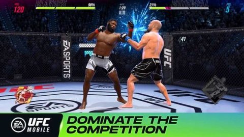 ufc终极格斗冠军2