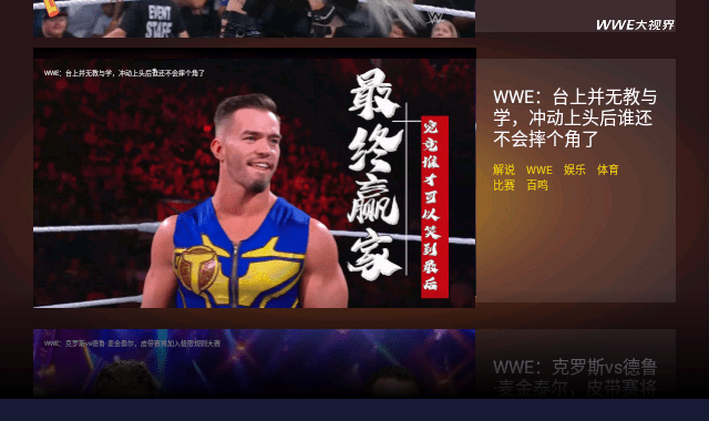 wwe大视界