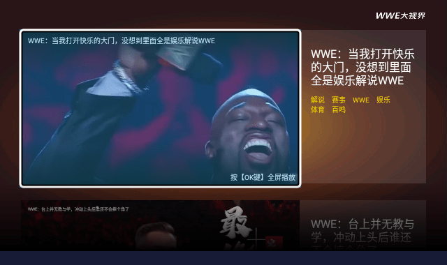 wwe大视界