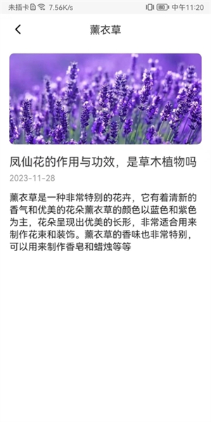 花卉识别图鉴