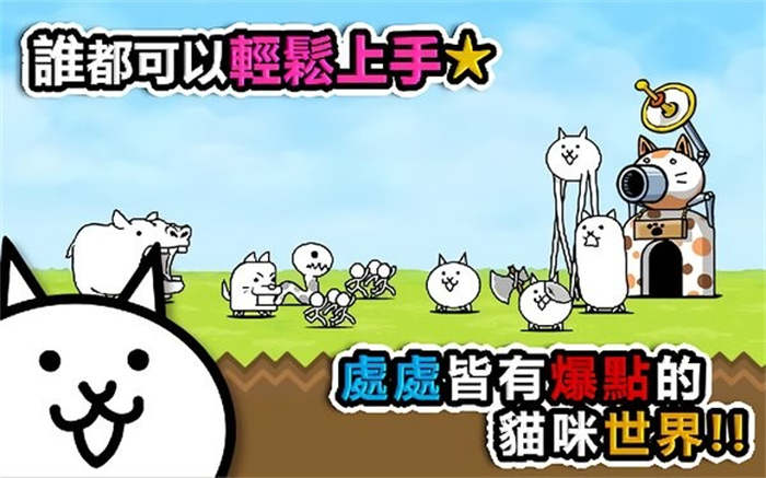 猫咪大作战