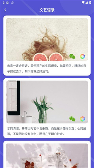 调音器专业版截图