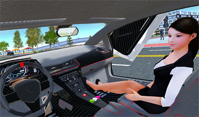 carsimulator2