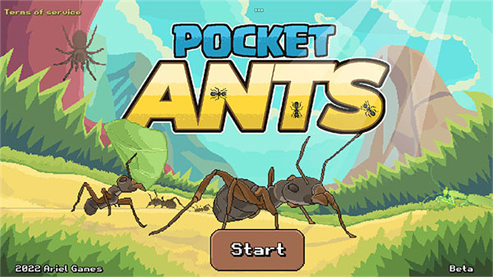 pocket ants