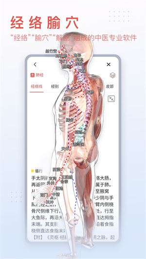 3dbody解剖学软件