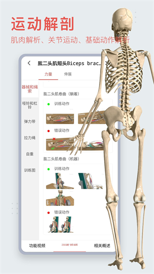 3dbody解剖学软件