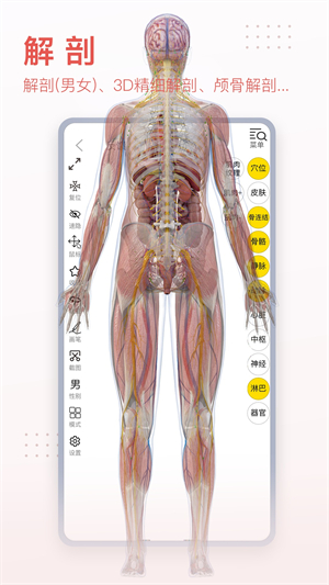 3dbody解剖学