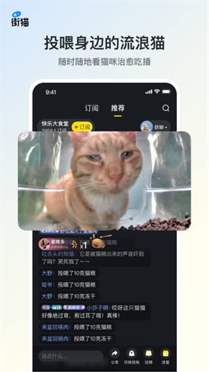 哈啰街猫安卓版