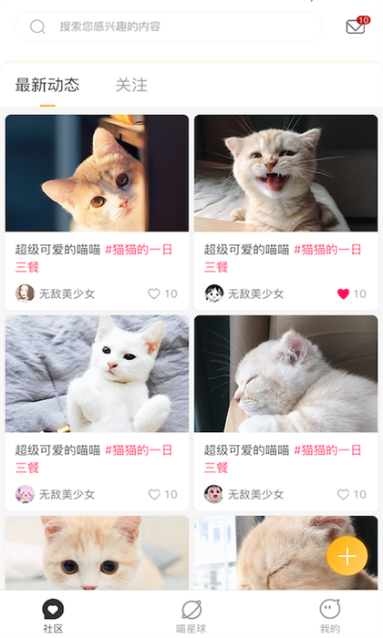 云养猫