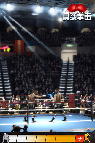 RealBoxing